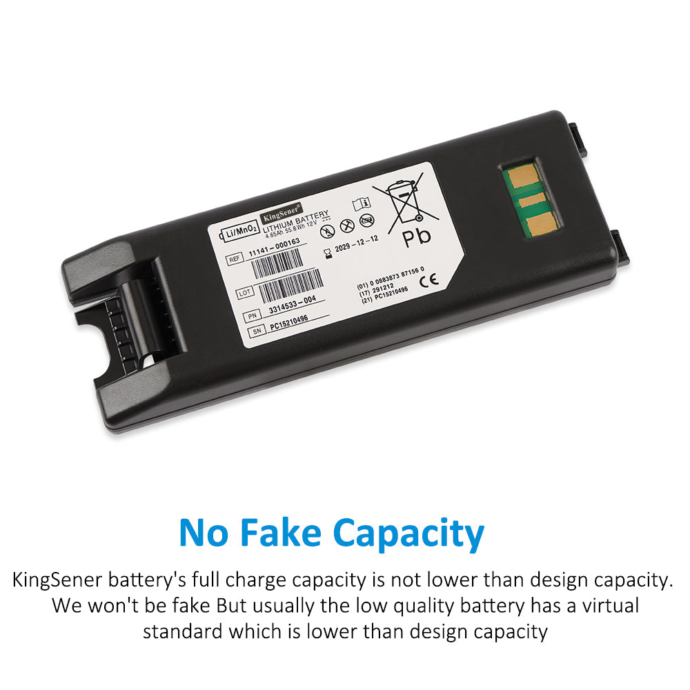 11141-000163-4650mAh