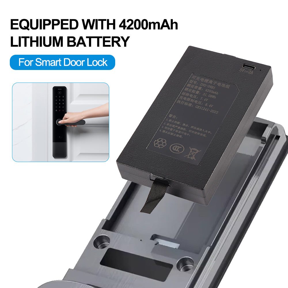 ZNS-09B1-7.4V-31.08Wh-Smart-Door-Lock-Battery