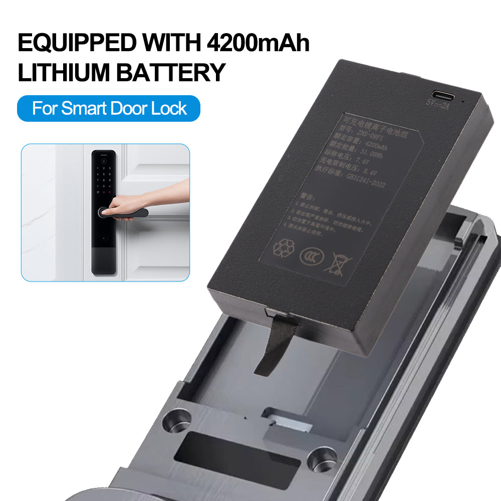 ZNS-09F1-7.4V-31.08Wh-Smart-Door-Lock-Battery